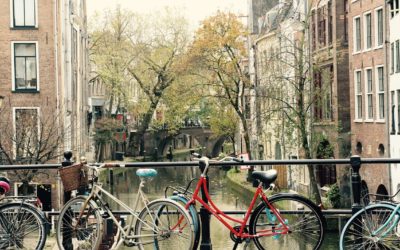 Bijstandsuitkering en letselschade: dit moet u weten