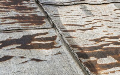 Het LEC-SB: een expertisecentrum voor slachtoffers van beroepsziekten